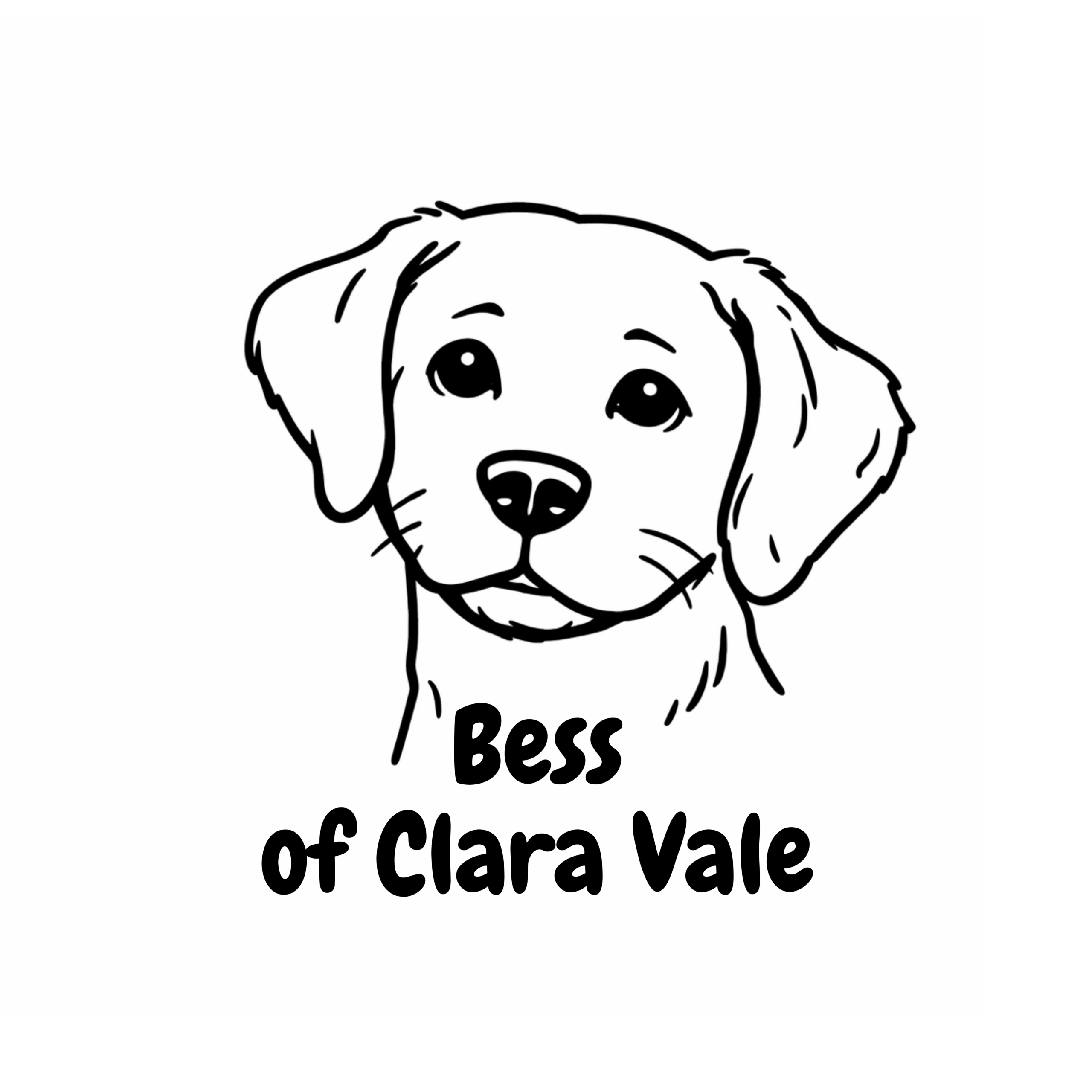 Lin Fidgin Children's Author and Illustrator